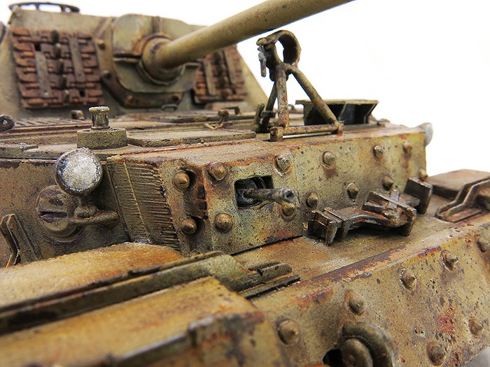 Elefant3SS36