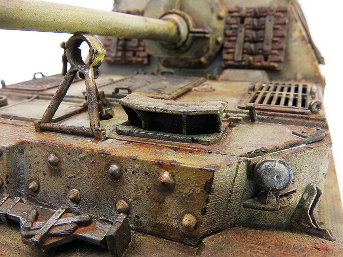 Elefant3SS37